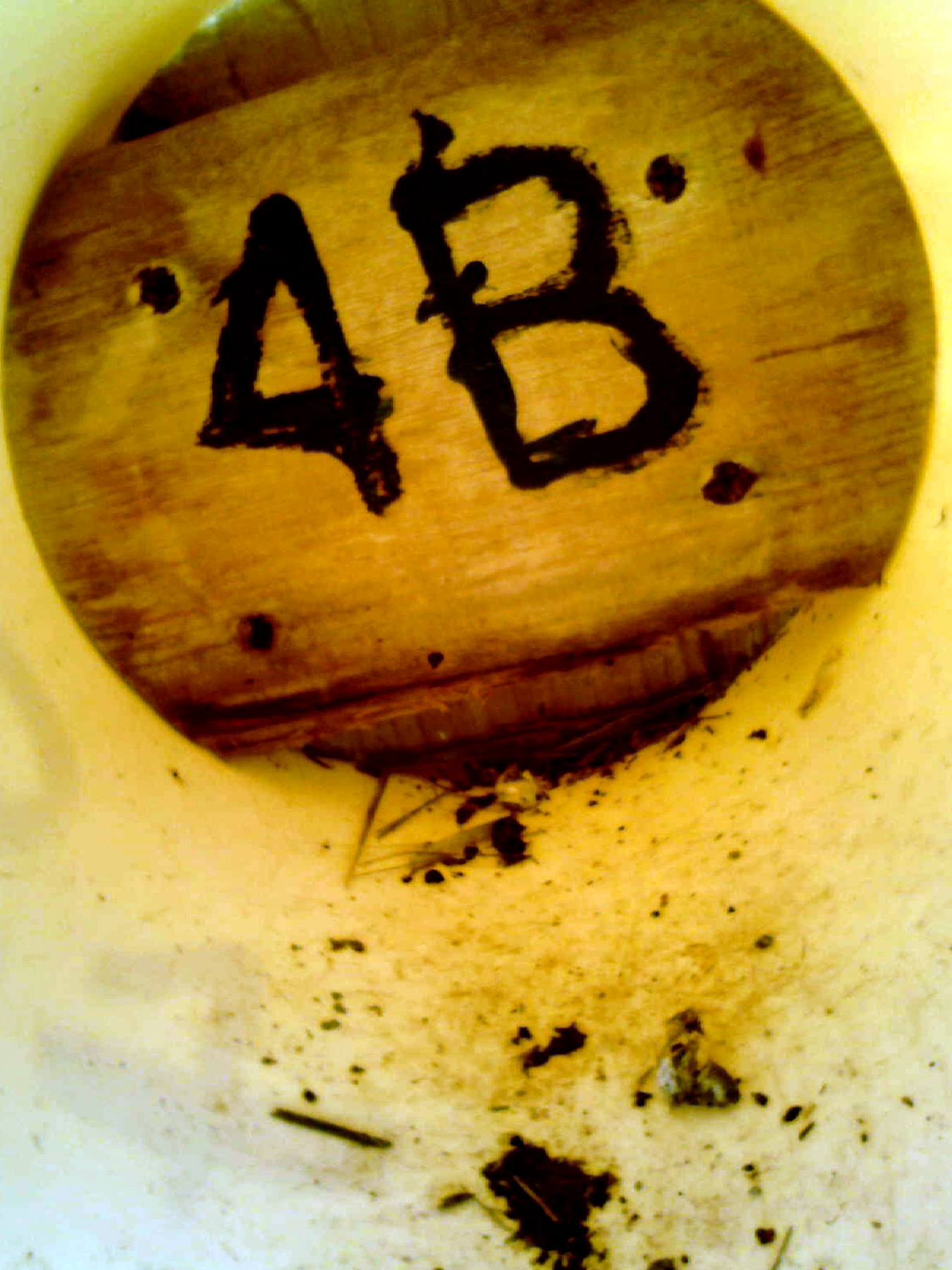 OPAS 4B